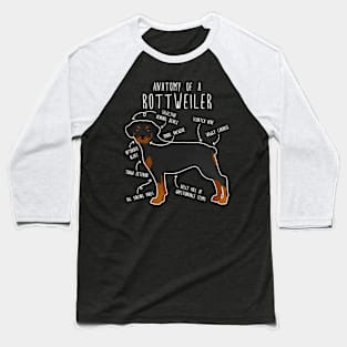 Rottweiler Anatomy Baseball T-Shirt